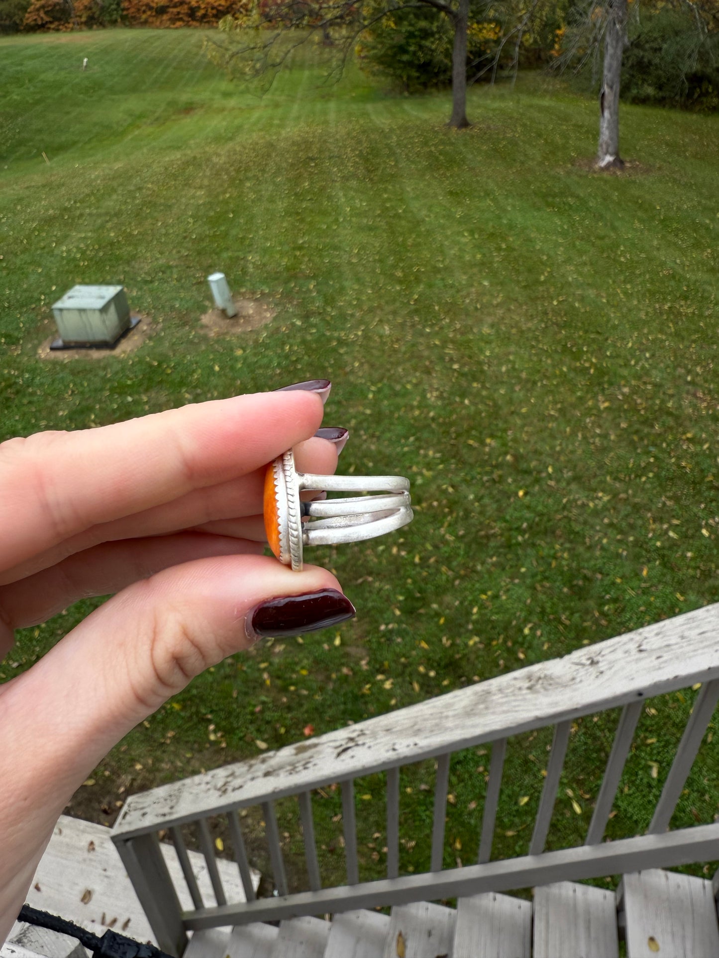 Orange Spiny, size 6