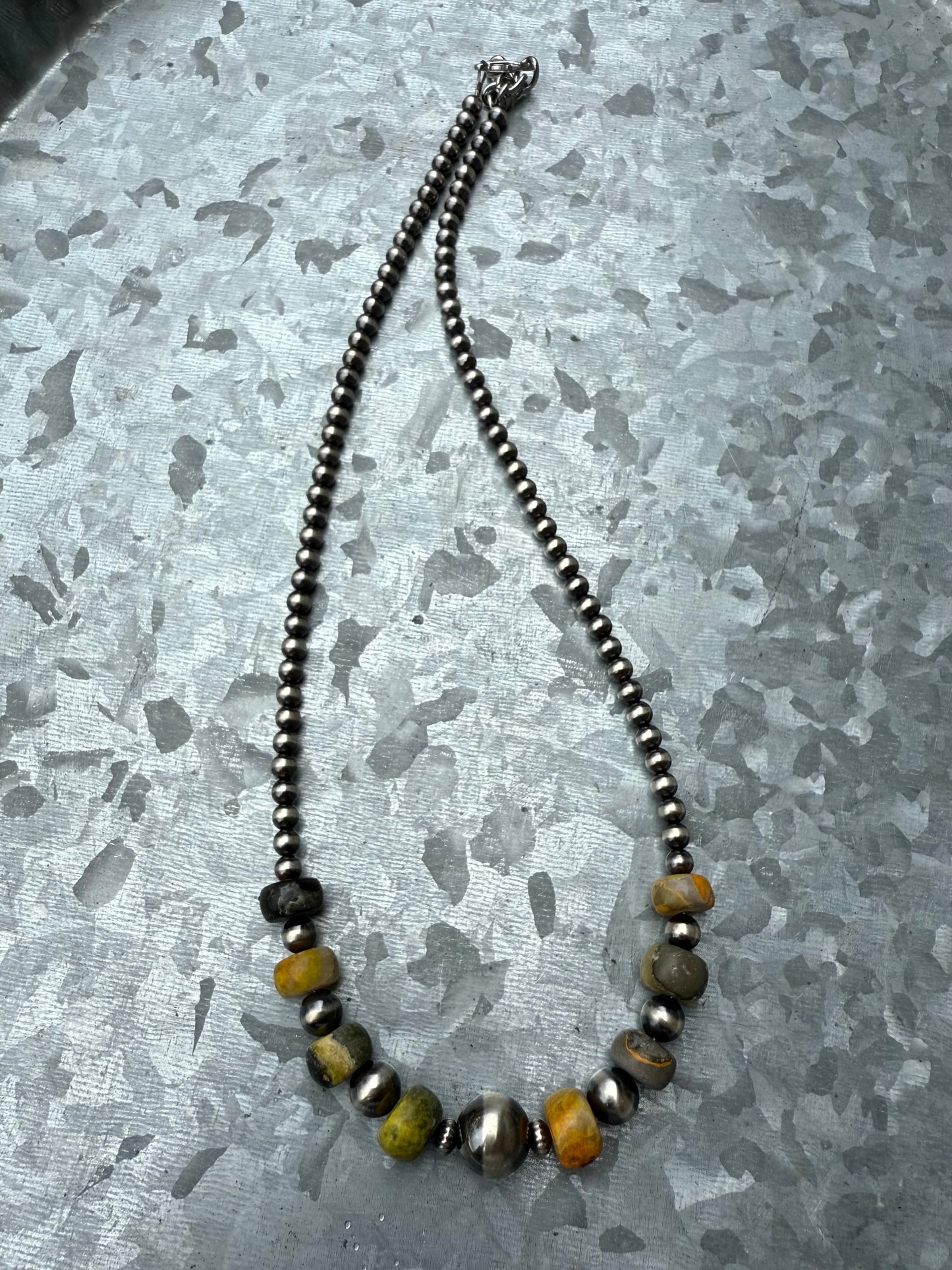 Bumblebee Jasper