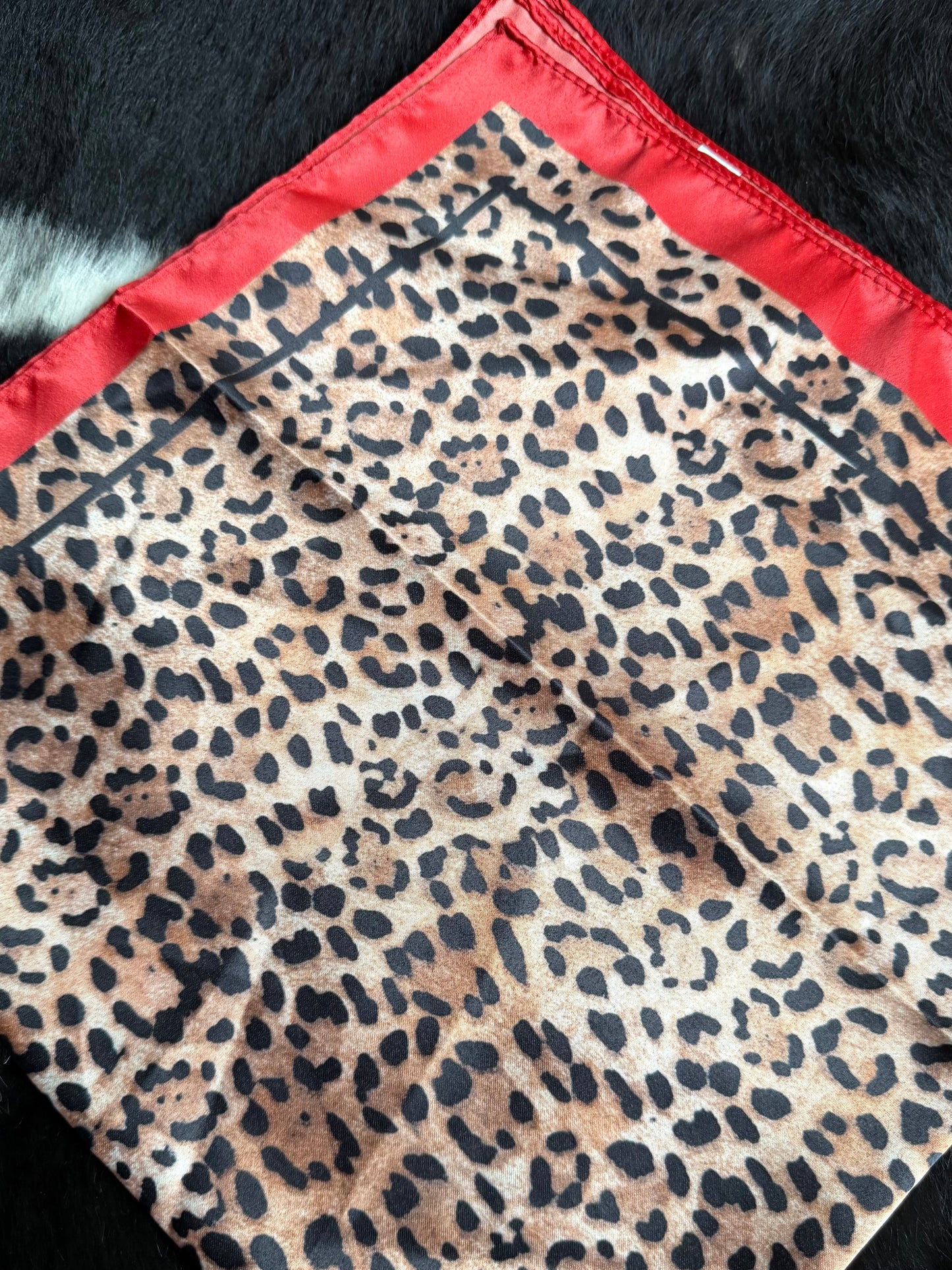 Cheetah with Red Wild Rag