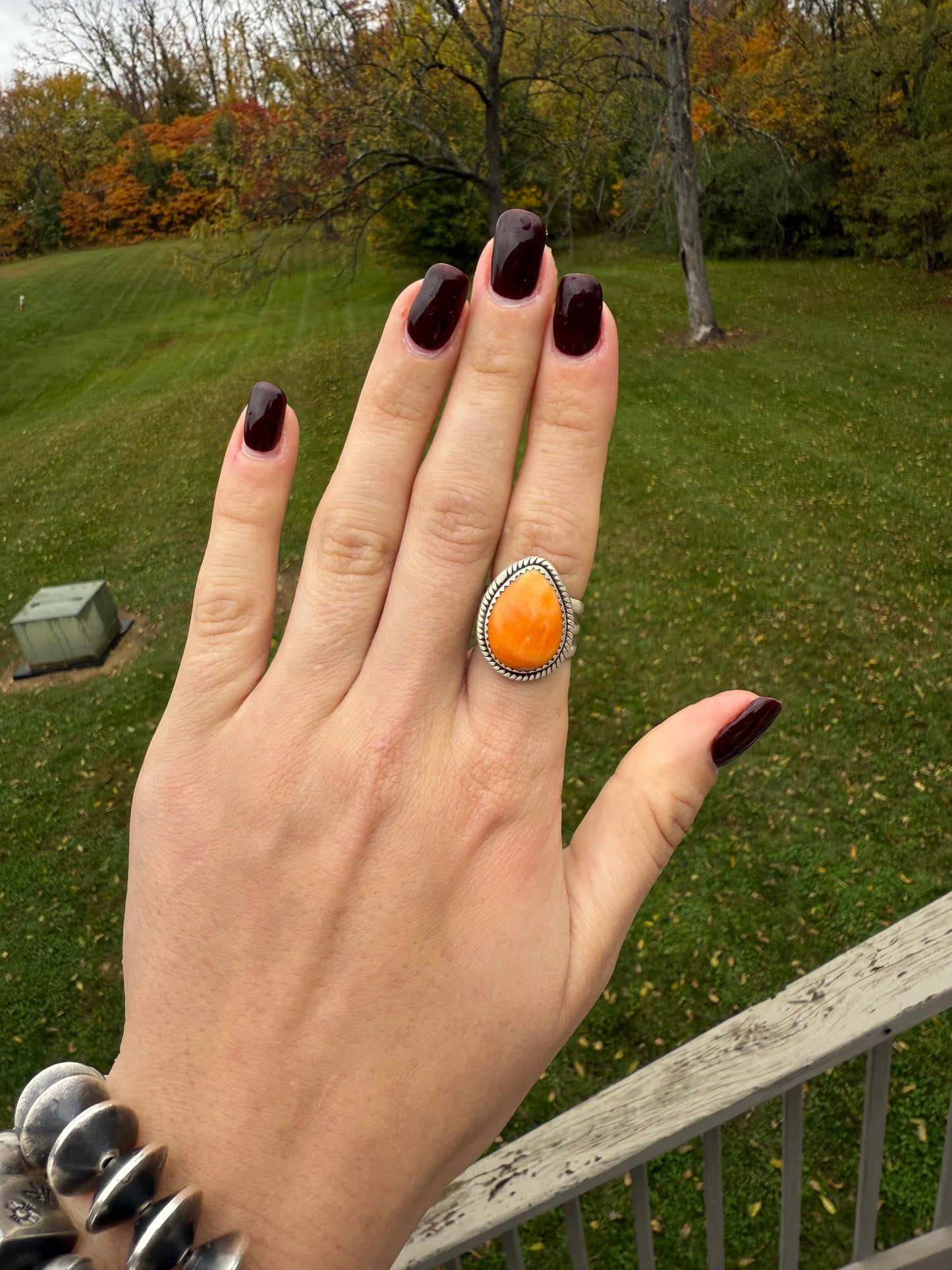 Orange Spiny, size 6