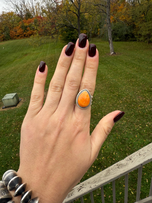 Orange Spiny, size 6