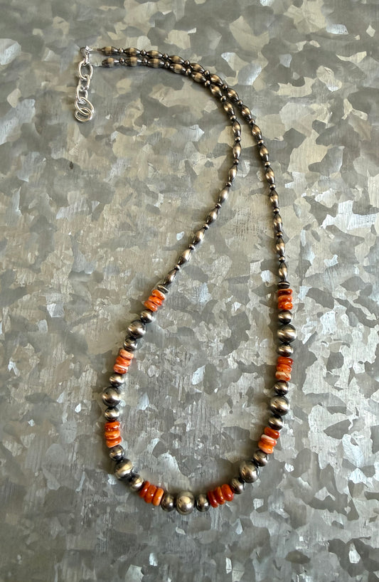 Orange Spiny & Torpedoes